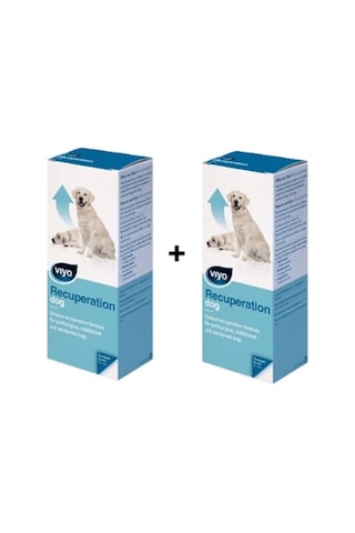Viyo Recuperation Köpek Ek Besin Takviyesi 2 x 150 ML
