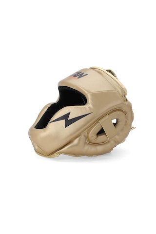 Yüz Korumalı Antreman Boks Kaskı , Gold Altın Model 2 001