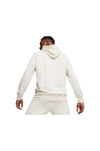 Puma Better Essentials Hoodie Erkek Sweatshirt 67597899-19293 001