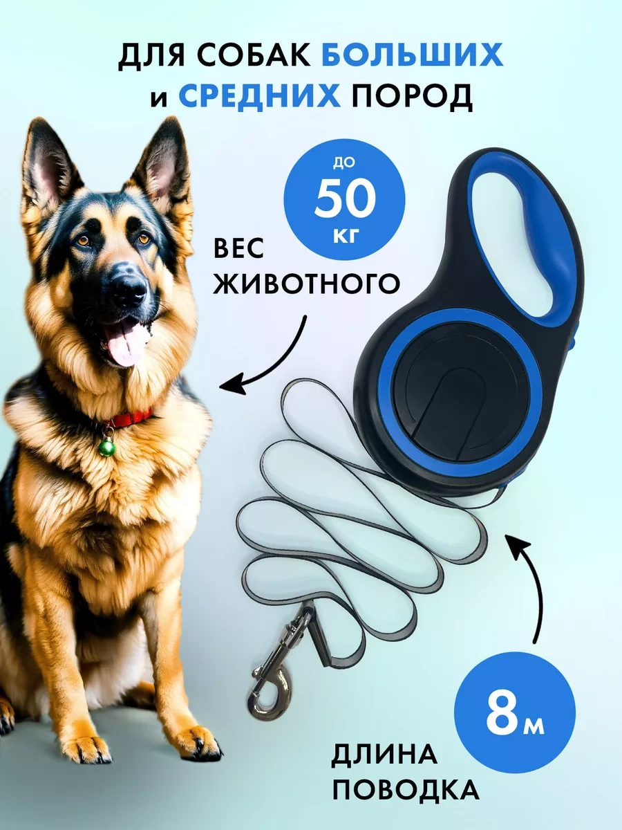 Purrfect Place 8 M Yürüyüş Kayışı 205592175 Mavi