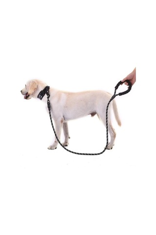 Köpekler İçin Gezdirme Tasması Reflektörlü 130 Cm Halat Orta Ve Büyük Boy Köpekler İçin Siyah Gri