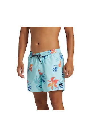 Quiksilver Aqyjv03147 Everyday Mix Volley 15 Erkek Şort Mayo 001
