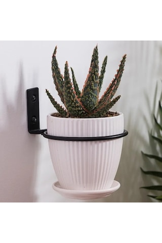 A3-vazo Tutucu Pot Tutucu Ekici Metal Duvar Asma Halkası Pratik Iyi Yükleme Saksı Tutucu Halka Duvara Monte Kolay Kurulum