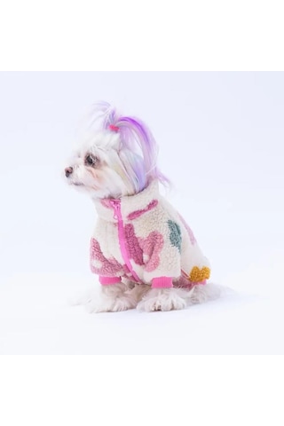 Pawstar Aspen Petals Küçük Irk Köpek Pofuduk Ceketi