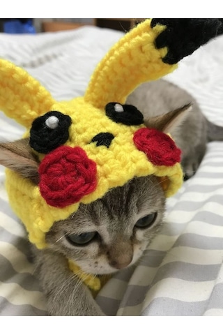 Busako Cat Pikachu Özel Tasarım Kedi Kıyafeti Busako Cat Pikachu Özel Tasarım Kedi Kıyafeti