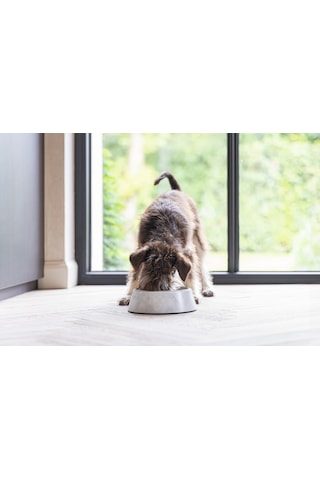 Beeztees Dbl Köpek Mama Su Kabı, Mat Paslanmaz Çelik, Beyaz Mermer Görünümlü, 14cm, 160ml