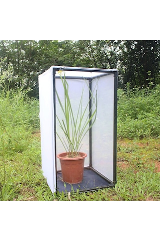 Monyee Pvc Çerçeveli Kelebek/boğa İçin Yetiştirme Kafesi, Bitki Korumalı Kafes, Ölçeğe Göre Özelleştirilebilir 40 30 40