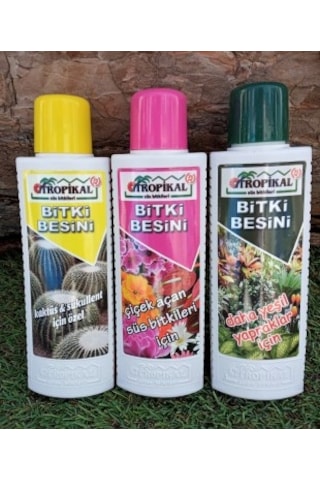 Bitki Besini 3' lü Set Kaktüs Sukulent Besini Çiçek Açtıran
