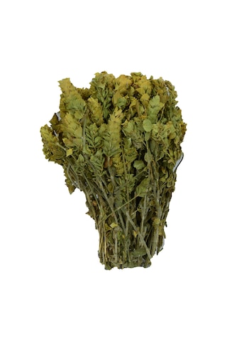 Lokman Doğal Akdeniz Yöresi Demet Ada Çayı 100 G