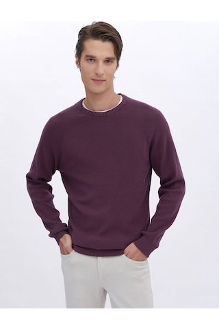 Kip Mürdüm Bisiklet Yaka Desenli Triko Çok Renkli