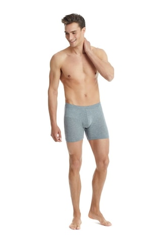 Blackspade Erkek Boxer 9313 Gri Melanj