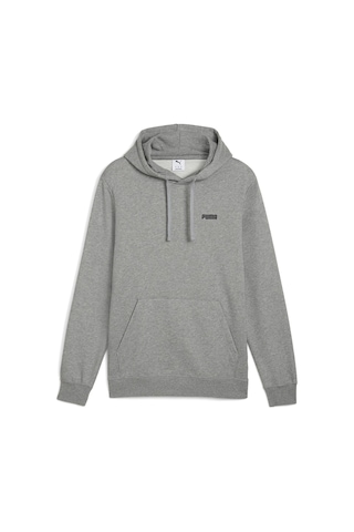Puma Essentıals Small Logo Erkek Kapüşonlu Sweatshirt 686772 03 Gri