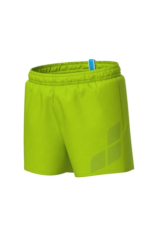 Arena Beach Logo R Çocuk Yeşil Deniz Şortu 006446660