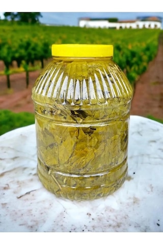 Ege'den Sultaniye Salamura Asma Yaprak Yeni Mahsul 5 Kh.bidon