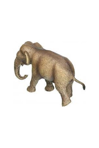 Schleich Dişi Asya Fili   14753