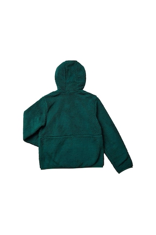 The North Face Genç Çocuk Campshıre F/z Kapüşonlu Polar Nf0a89kbnl11 Yeşil