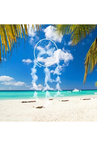 Dolıty Vintage Beyaz Sahte İnci Tüy Dream Catcher Ev Duvar 70cm