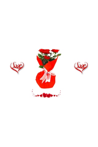 Kırmızı Mini Gül - Sevgililer Günü Ve Özel Gün Hediyesi