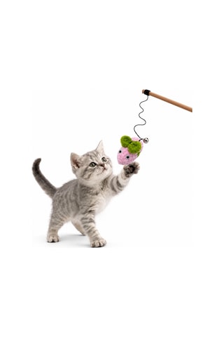 Kedi Oltası - Dawcat - Arı Figürlü - Pembe/yeşil