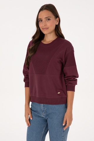 U.S. Polo Assn. Kadın Bordo Pamuklu Bisiklet Yaka Sweatshirt 50314170-VR177