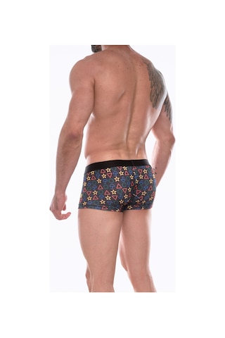 Erkek Çok Renkli Fantezi Giyim Desenli Boxer Hf072208