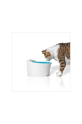 M3 Decorium Otomatik Kedi Köpek Kuş Su İçme Kabı Şelalesi Çeşmesi Sebili 3 L