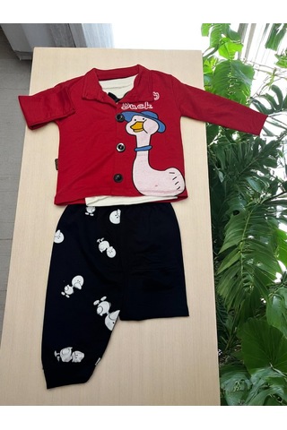 3lü Takım Düğme Li renkli