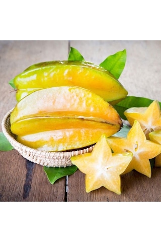 20 Lt Saksıda Meyve Verir Durumda Carambola Yıldız Meyvesi Fidanı