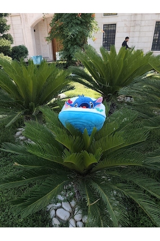 40 Cm Buket Çiçek Şeklinde Hello Kitty Stitch Stiç Peluş Oyuncak Hediye Mavi