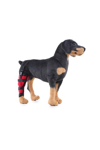 Homyl Köpek Yardımcı Kemer Sağ-arka-bacak-kırmızı-l