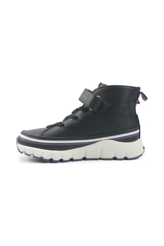 U.s. Polo Assn. Keltes Jr 5pr Siyah Kız Çocuk High Sneaker 000000000102027888 Siyah-mor