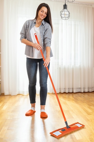 Fıesta Yer Temizlik Sistemi