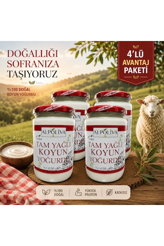 Alpoliva Koyun Yoğurdu 4 Adet 650 G 2.600 G