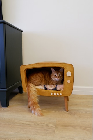 Huncar Kedi Evi Ahşap Retro Tv Dekoratif Kedi Evi İç Mekan Kediler İçin