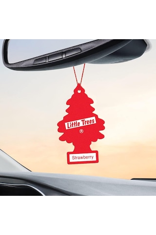 Car Freshner Asma Koku 12'li Çilek