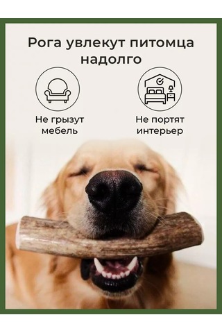 Howl Xl 280-320 Gr Geyik Boynuzları Oyuncağı 160280699