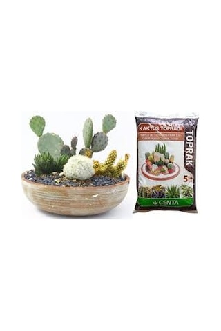 Genta Kaktüs ve Succulent Bitkileri için Toprak 5L