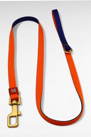 Caramelos Köpek Gezdirme Tasma Kayışı Yüksek Mukavemetli Tasma Halatı Gezdirme Ipi Bedenli Mavi - Turuncu