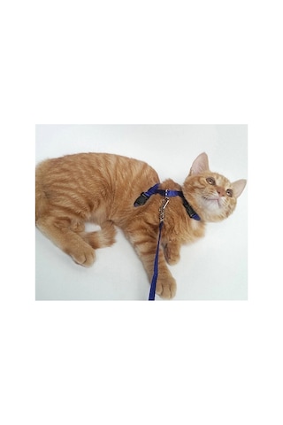 120 Cm Ayarlanabilir Kedi Göğüs Tasması