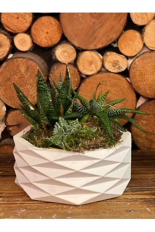 Geometrik Beyaz Dekoratif Saksı Modern Minimal Tasarım Bitki Dahil Değildir