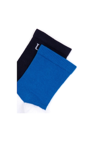 U.S. Polo Assn. U.s. Polo Assn. Erkek Çocuk Lacivert Çorap Soket 50318050-vr033