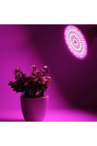 Mufunye Çift Başlı Klips Tam Spektrum 290 Boncuk Led Bitki Işığı 30w Bitki Büyüme Işığı Çiçek Sulu Meyve Renk Dolgu Işığı 290 Boncuk Tek Lamba