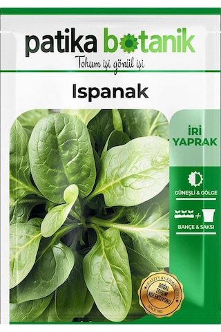 Yerli Ispanak Tohumu Gcl114
