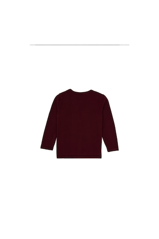 U.S. Polo Assn. Kız Çocuk Bordo Düğmeli Bisiklet Yaka Triko Hırka 50316292-VR177