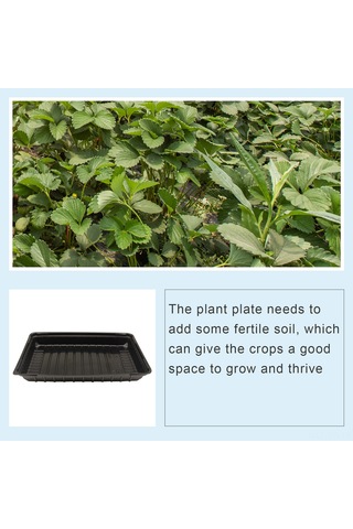 Reedark Büyük Boy Siyah Plastik Sebze Fidanlık Kabı - Nemli Bitki Yetiştirme Tabağı 5 Adet