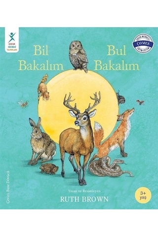 Bil Bakalım Bul Bakalım - Ruth Brown - Çocuk Gelişimi Yayınları Bil Bakalım Bul Bakalım - Ruth Brown - Çocuk Gelişimi Yayınları