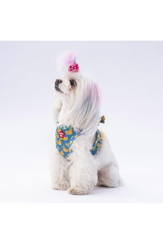 Pawstar Air-mesh Ducks Köpek Göğüs Tasması 2xs Genel