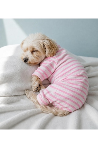 Gedyco The Best Pink Striped Küçük Irk Köpek Penye Tulum Pijama-21563