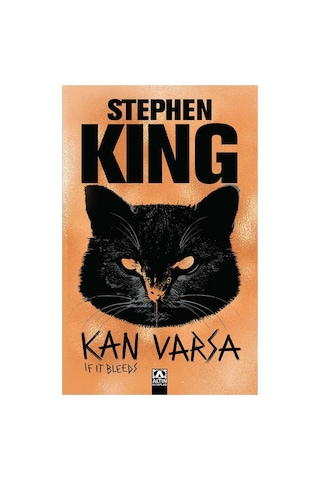 1. Holly 2. Yabancı 3. Kan Varsa - Stephen King 3 Kitap Set - Not Defteri