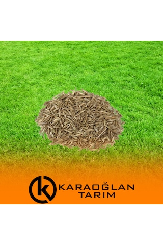 Çimlenen 7'li Karışım Basmaya Ve Soğuklara Dayanıklı Çim Tohumu